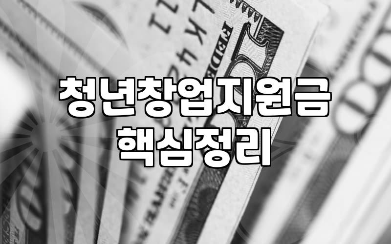 청년창업지원센터 활용 시 얻게 되는 구체적인 사업 지원 혜택과 조건