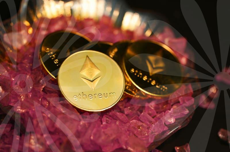 아르바이트 시작 전에 확인할 정책 혜택과 활용법