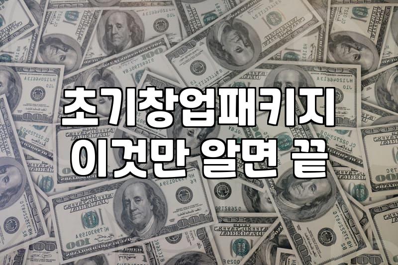 초기 창업, 정부지원금은 ‘보험’일까 ‘독’일까: 현실적인 고민들