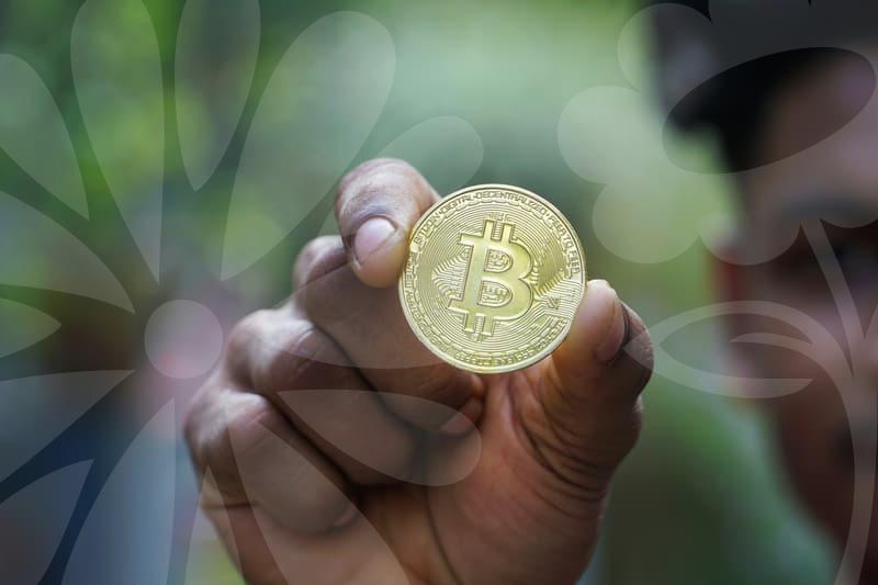 투자사 필요한 자금 활용 가이드와 실무 팁을 알아본다