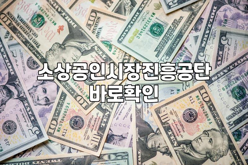 소상공인지원금 신청 조건과 실제 자금 지원 유형 확인하기
