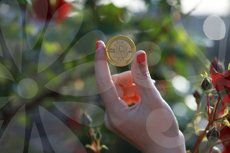 폐업 준비와 자금계획, 공공 지원 활용의 핵심 포인트