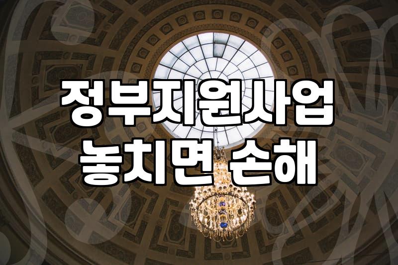알쏭달쏭 정부 지원사업, 이것만은 꼭 알아두세요!