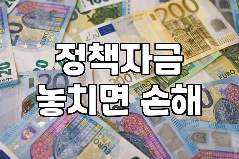청년지원을 현명하게 활용하려면 반드시 알아야 할 현실적인 판단 기준