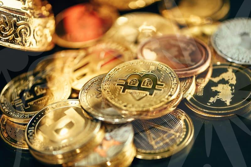 국민취업지원제도 수당만 보고 신청했다가 중도 탈락하지 않는 현실적인 방법