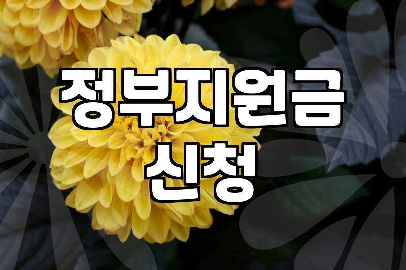 보조금 신청 조건과 현금 지급 시기 확인하는 방법