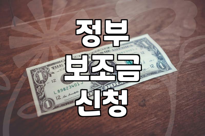 보조금 신청하다가 서류만 세 번 다시 뗐다