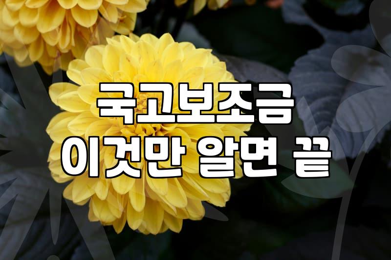 보조금 신청 조건과 실질적인 지급 시기 확인 방법