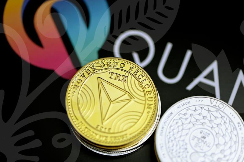 정책자금으로 창업과 성장을 이끄는 실전 가이드