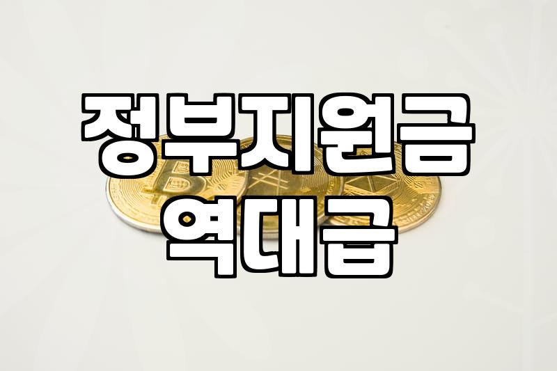 보조금 신청 전 확인해야 할 주요 조건과 신청 절차