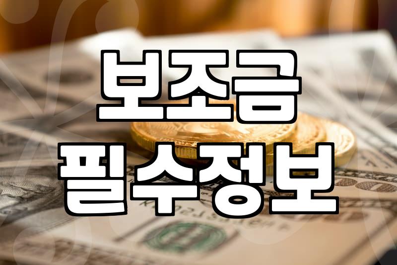 보조금, 그거 그냥 주는 돈 아니더라고요…