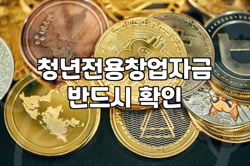 청년창업지원 예산 규모와 실제 신청 절차