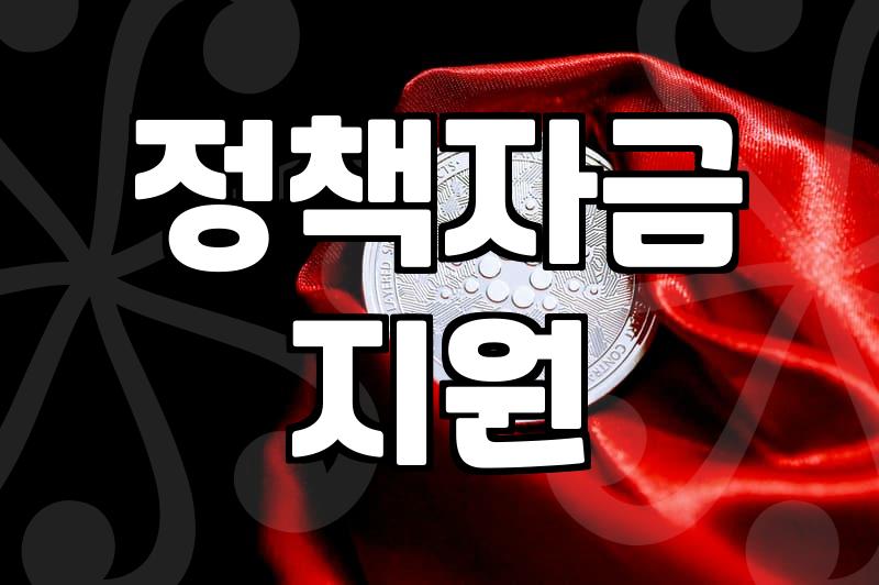 정부정책 혜택 확인 시 주의해야 할 점과 실제 활용 방법