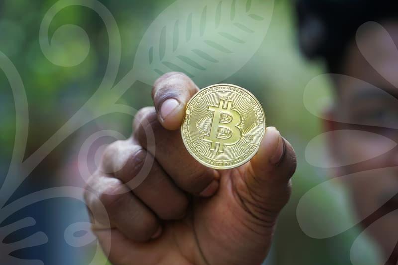 보조금 활용의 현황과 신청 절차를 한눈에 파악하기