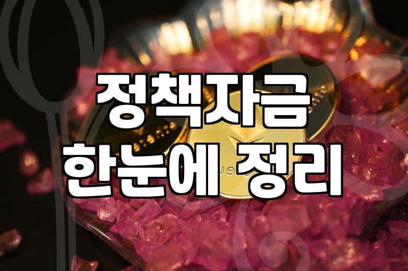 정부 정책자금과 보조금, 꼼꼼하게 따져본 현실적인 선택