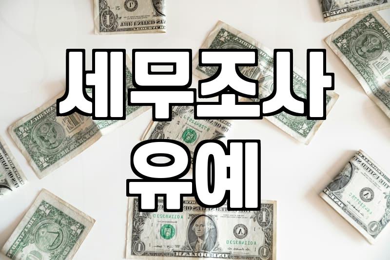 개인사업자환급금, 놓치면 후회할 숨은 돈 찾기