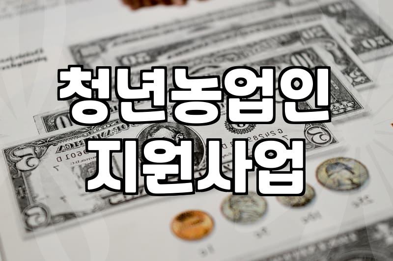 청년농업인 대출, 처음엔 나라에서 다 되는 줄 알았는데…