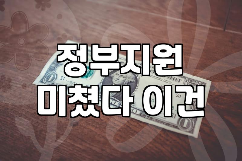 정부지원 정책, 무작정 따라가기 전에 고민해야 할 것들