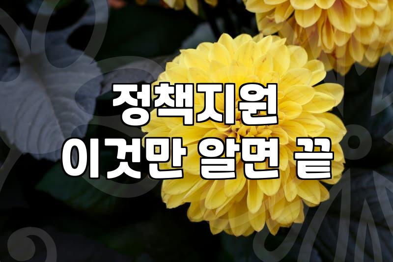 복지혜택, 남들 다 받는다고 쫓아다니다 지치는 이유