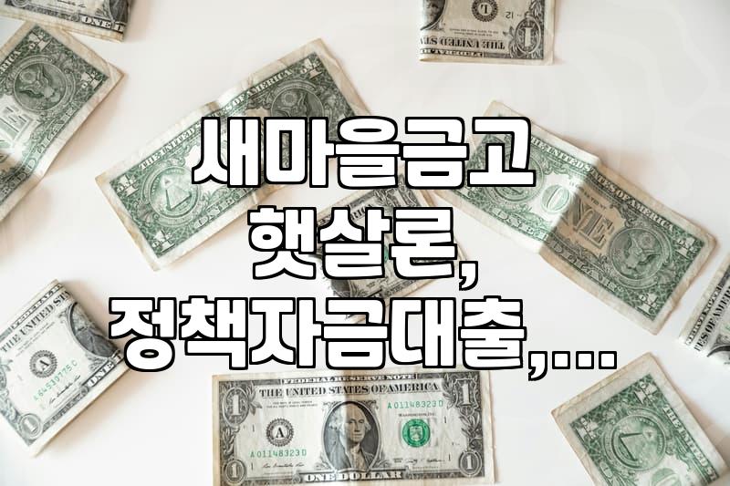 새마을금고에서 서민금융 상품 이용하기: 햇살론, 지자체협약대출, 소상공인대출 알아보기