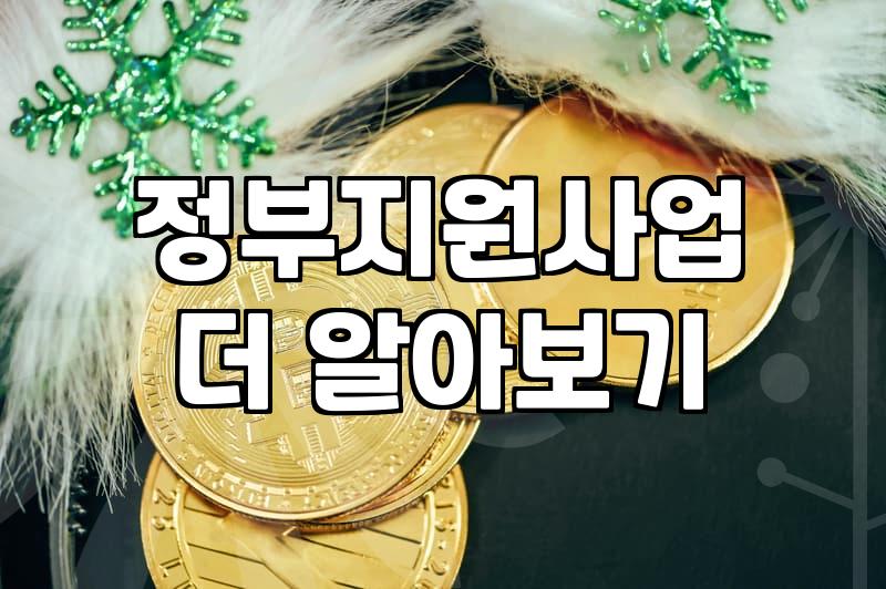 보조금 신청 전 확인해야 할 핵심 요건과 준비 과정