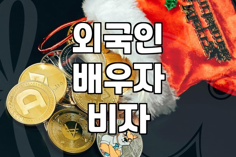 비자 문제로 몇 달째 동사무소와 출입국 사무소를 오갔다