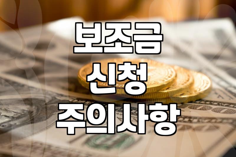 보조금, 신청하기 전 반드시 알아야 할 현실적인 고민들