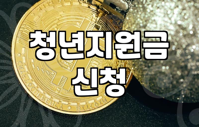 지자체 청년 지원금, 신청 버튼 누르기 전 꼭 알아야 할 불편한 진실