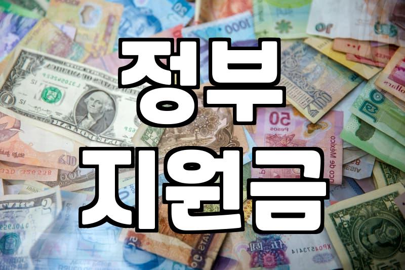 보조금이 작동하는 방식과 실질적인 활용의 의미