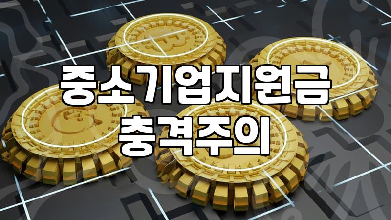 정책자금컨설팅 실제 비용과 신청 성공률을 결정하는 핵심 요소