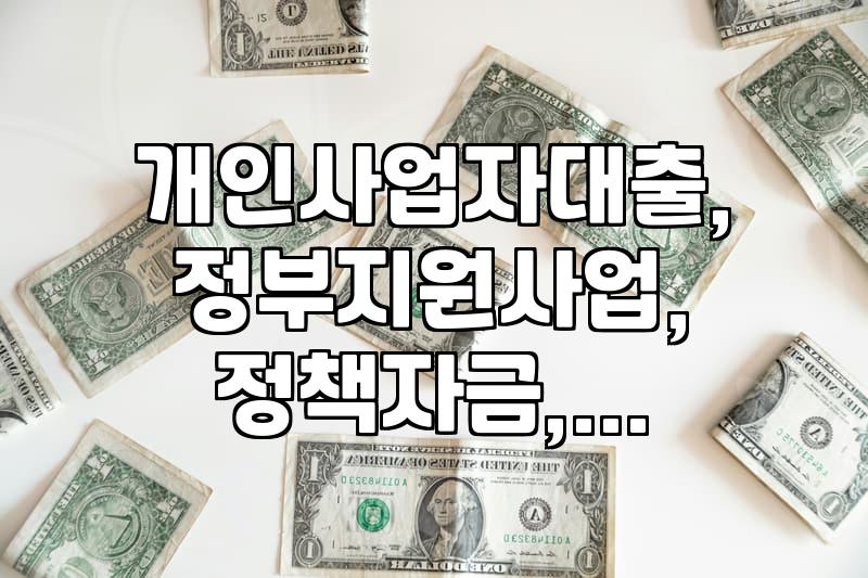 개인사업자 정부지원대출, 서류 준비와 현실적인 조건들