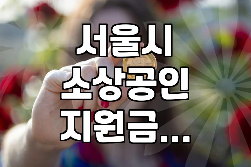 서울시 소상공인 지원금, 이것만은 꼭 확인하세요