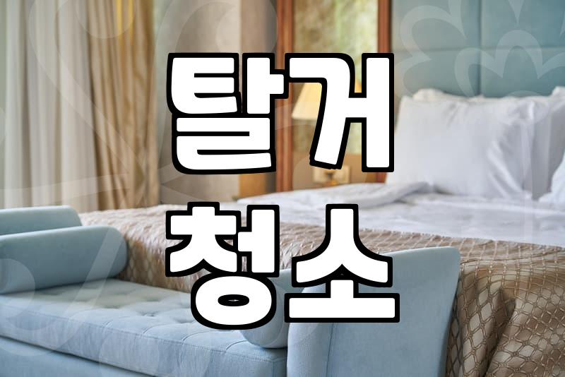 안양입주청소 실패하지 않고 현명하게 업체 선정하는 노하우