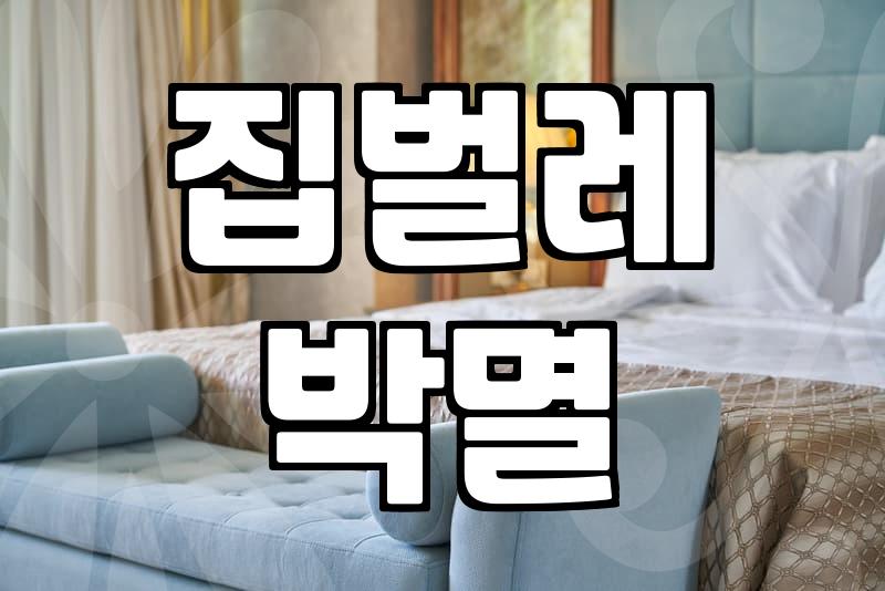 해충방역업체 비용 결정 요인과 서비스 범위