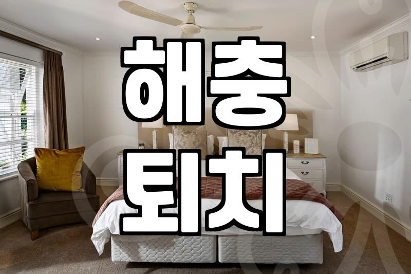 믿을 만한 방역업체 선택, 전문가의 현실적인 조언