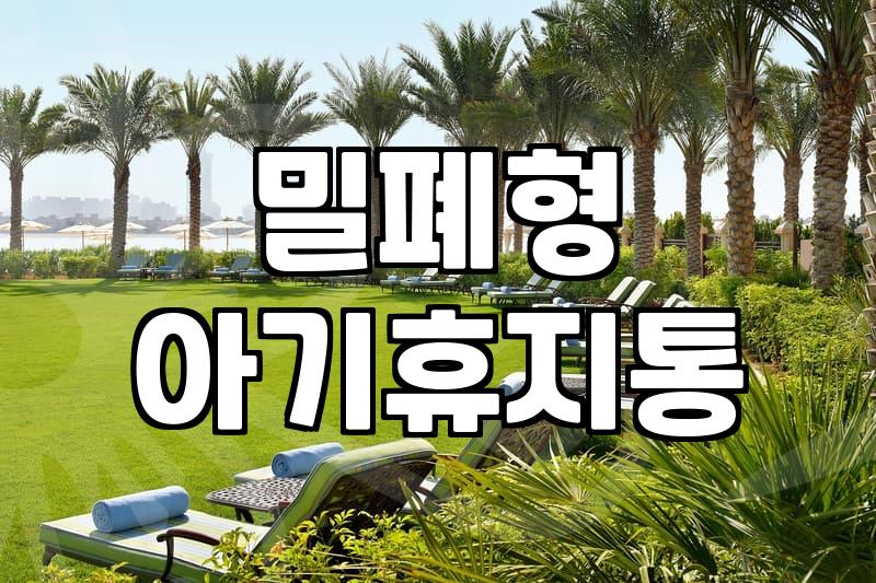 아기 기저귀 냄새, 이 아기휴지통 하나로 끝낼 수 있을까?