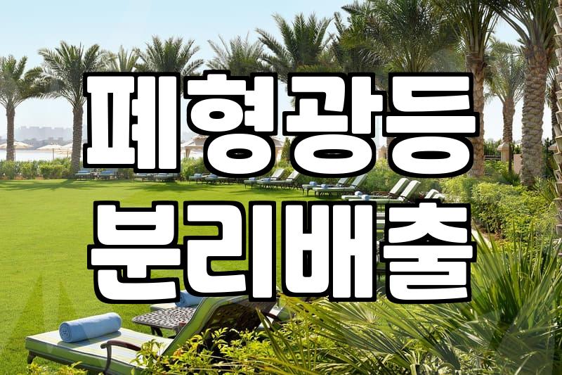 집안 구석에 굴러다니던 형광등 몇 개 때문에