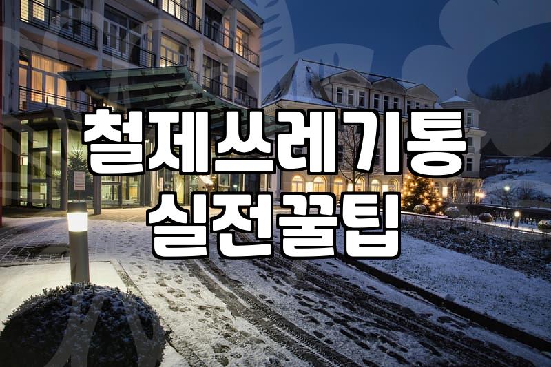 집안 분리수거 효율을 높이는 철제 수거함 선택과 배치