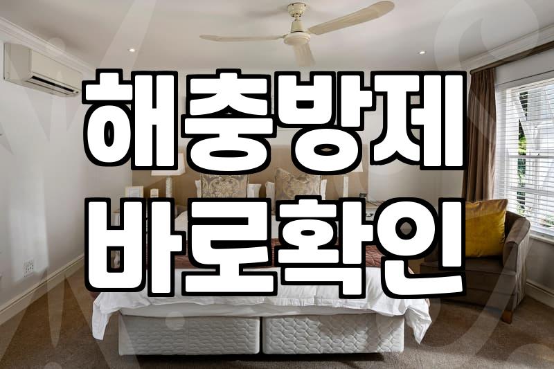 집안 곳곳에서 나타나는 벌레 원인과 대처하는 과정