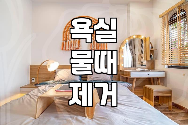 화상실청소 효율 높이는 세제 선택과 오염 제거 순서
