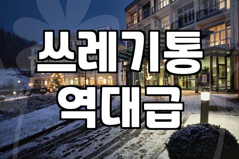 대형 쓰레기통, 실패 안 하고 고르기: 현실적인 경험담