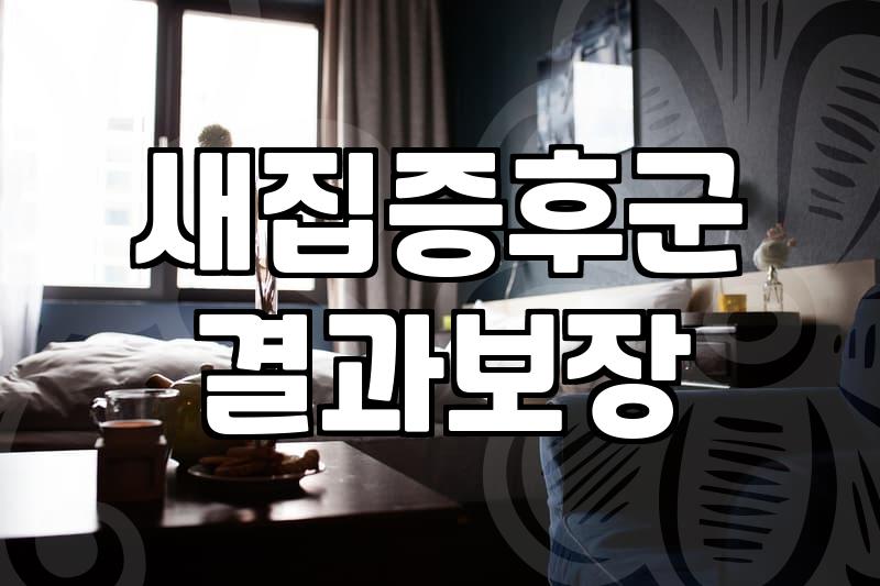 이사 후 청소, 업체 맡길 때 꼭 알아야 할 것들