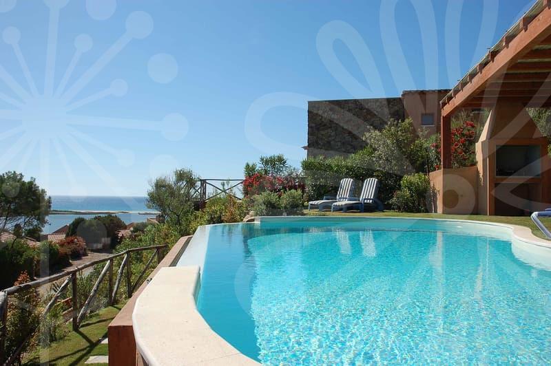 방역업체의 실무 체계와 현장 관리 협업 전략의 지속가능성