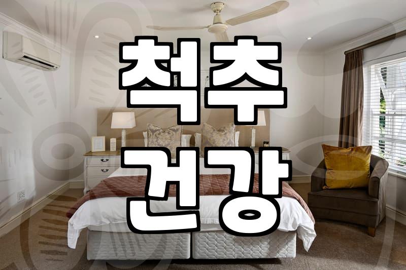 허리스트레칭기구, 입주청소 후 통증 잡는 현실적인 선택