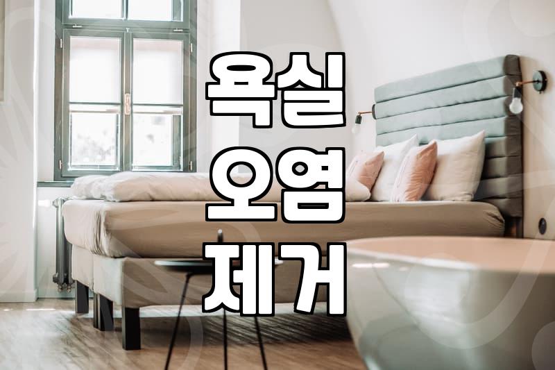 화상실청소 비용과 작업 범위 및 효과적인 관리 기준