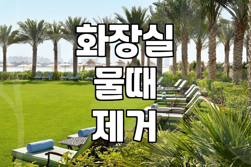 공공시설과 가정 화장실 청소 관리의 차이점과 현실적인 팁