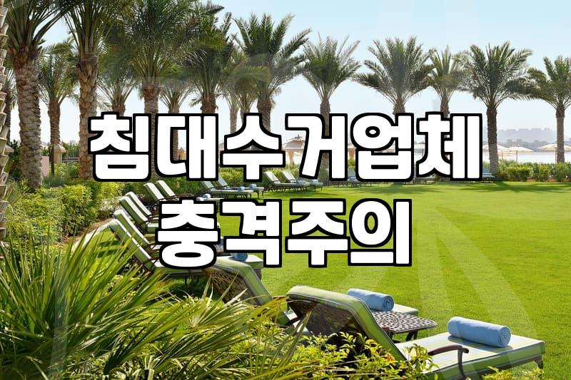 매트리스처분, 몸으로 때울지 돈을 쓸지 고민하는 이들을 위한 지극히 현실적인 조언
