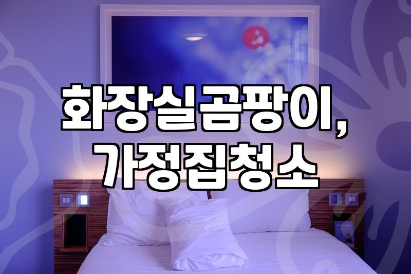 청소업체, 정말 믿을 만할까? 현실적인 후기와 비용 고민