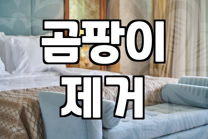 화장실 청소, 전문가가 알려주는 실패 없는 업체 선택법