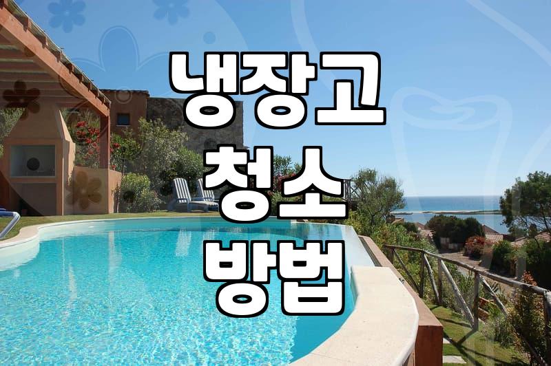 냉장고 청소, 직접 할까 업체를 부를까: 현실적인 고민과 선택지